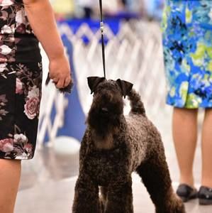 Meet your Posher, Angie